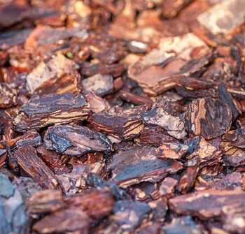 Background,Of,Pine,Bark,Nuggets,Layer,Used,For,Gardening