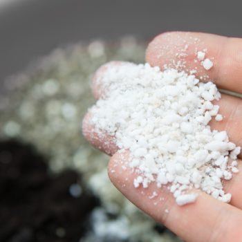 Perlite,In,The,Hands,Of,A,Man.,The,Concept,Of