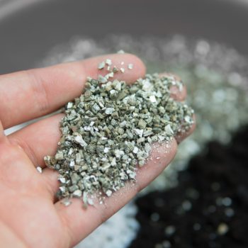 Vermiculite,In,The,Hands,Of,A,Man.,Close,Up.,Soil