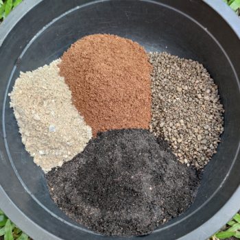 Recipe,For,Cactus,Soil,Mix.soil,For,Plants.growing,Plants,With,Soil