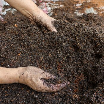 Mixing,Soil,For,Cultivation,By,Hand,Ingredients,Have,Black,Clay